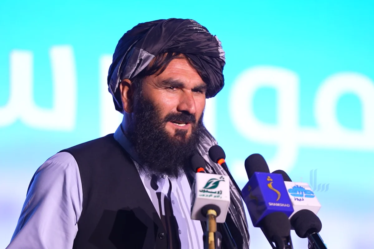 د چينار ټکور دوه غزلې cover