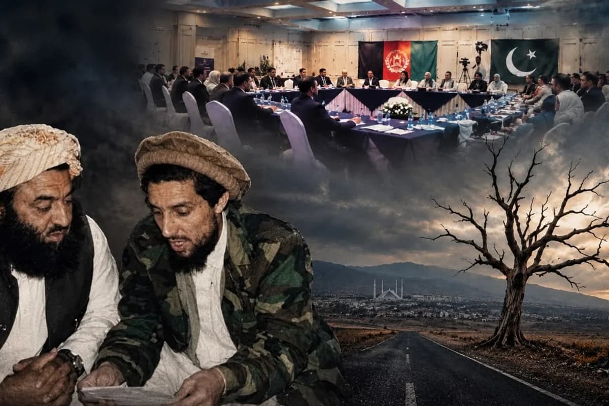 د افغان سیاست د کږې ونې شنډې څانګې  cover
